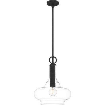 1 Light Pendant, Mottled Black/Clear