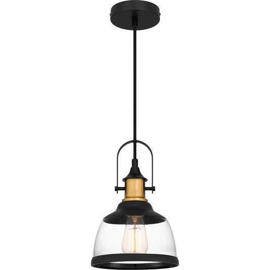 Quoizel Warnock 1 Light Mini Pendant, Black/Clear/Black Trim - QPP5639MBK