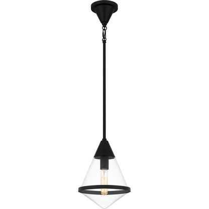 Quoizel Hidalgo 1 Light Mini Pendant, Brushed Nickel/Clear Glass - QPP6160BN