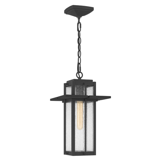 Quoizel Randall 1 Light Mini Pendant, Mottled Black/Clear Seeded - RDL1509MB