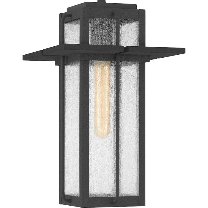 Quoizel Randall 1 Light Outdoor Hanging Lantern, Mottled Black