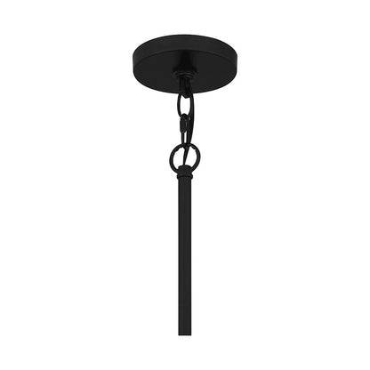 1 Light Mini Pendant, Matte Black