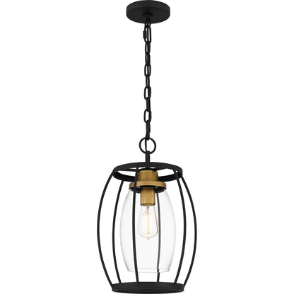 Quoizel Thyme 1 Light Mini Pendant, Earth Black/Clear - THY1511EK