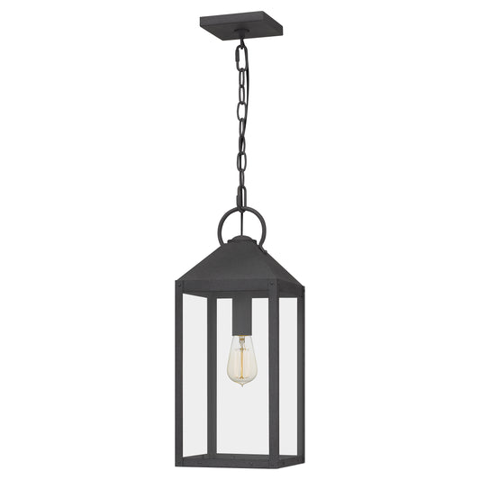 Quoizel Thorpe 1 Light Mini Pendant, Mottled Black/Clear Tempered - TPE1508MB