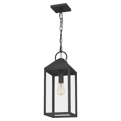 1 Light Mini Pendant, Mottled Black