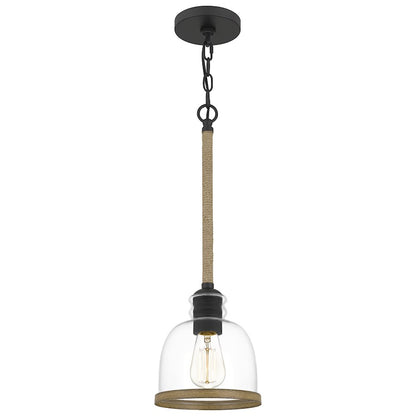 1 Light Mini Pendant, Matte Black