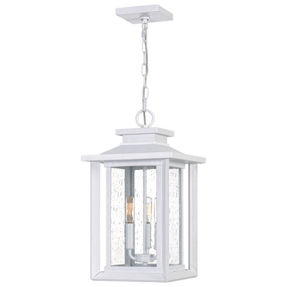 Quoizel Wakefield 3 Light Outdoor Hanging Lantern, White Lustre - WKF1911W