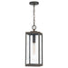 Quoizel Westover 1 Light Outdoor Hanging Lantern, Industrial Bronze - WVR1907IZ