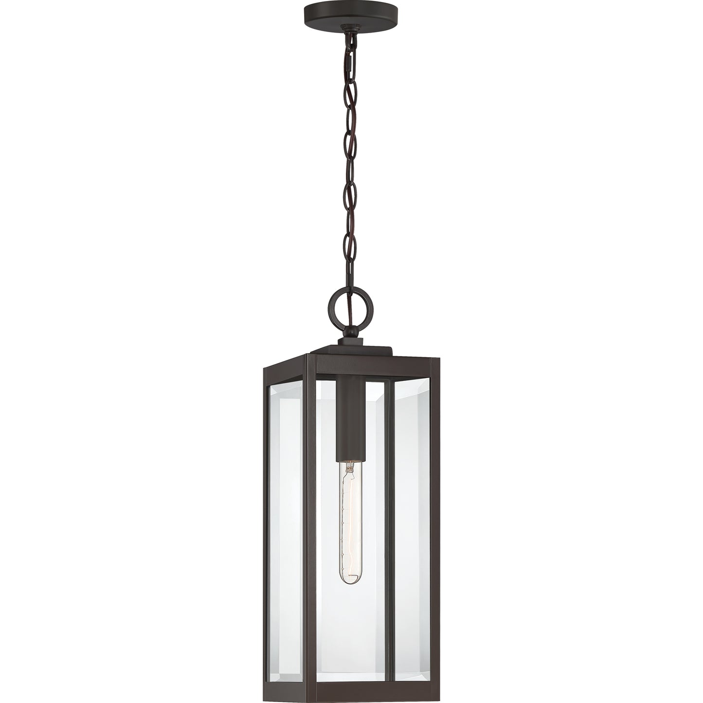 Quoizel Westover 1 Light Outdoor Hanging, Stainless Steel/Beveled - WVR1907SS