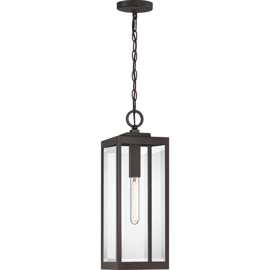 Quoizel Westover 1 Light Outdoor Hanging, Stainless Steel/Beveled - WVR1907SS