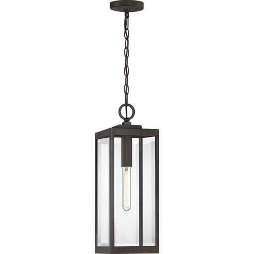 Quoizel Westover 1 Light Outdoor Hanging, Stainless Steel/Beveled - WVR1907SS