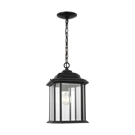 Sea Gull Kent 1 Light Outdoor Pendant, Black/Clear/Clear - 60031-12