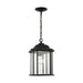 Sea Gull Kent 1 Light Outdoor Pendant, Black/Clear/Clear - 60031-12