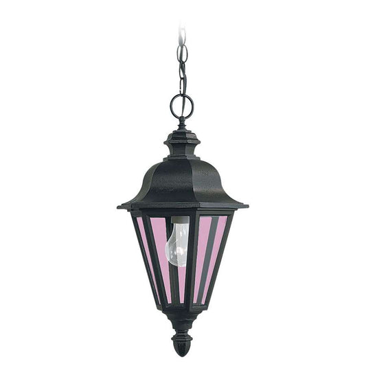 1 Light Outdoor Pendant, Black