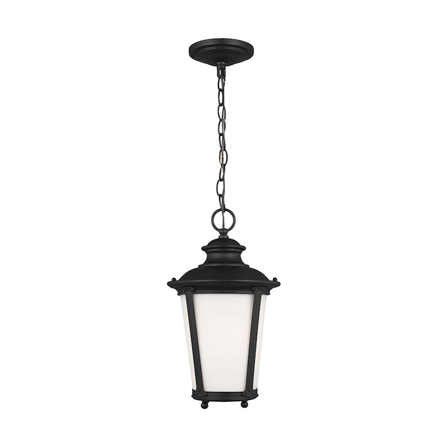 Sea Gull Cape May 1 Light Outdoor Pendant, Black/Etched/White Inside - 62240-12