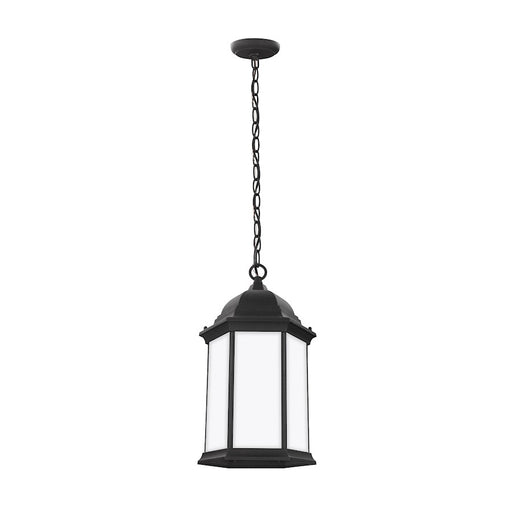 Sea Gull Lighting Sevier 1 Light Outdoor Pendant, Black/Satin - 6238751-12