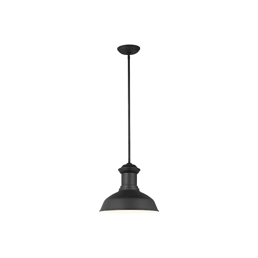 Sea Gull Lighting Fredricksburg 1 Light Outdoor Pendant, Black - 6247701-12