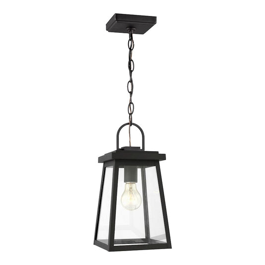 Sea Gull Lighting Founders 1 Light Outdoor Pendant, Black/Clear - 6248401-12