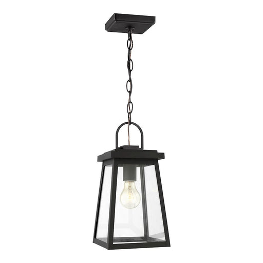 Sea Gull Lighting Founders 1 Light Outdoor Pendant, Black/Clear - 6248401-12