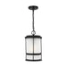 Sea Gull Wilburn 1 Light Outdoor Pendant Lantern, Black/Satin - 6290901-12