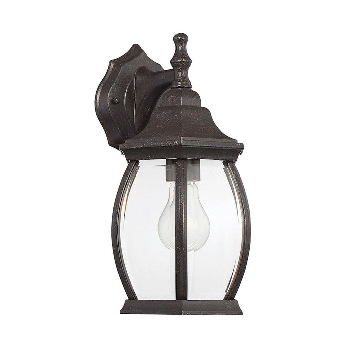 Savoy House Exterior Collections Outdoor Wall Lantern, Bronze/Clear