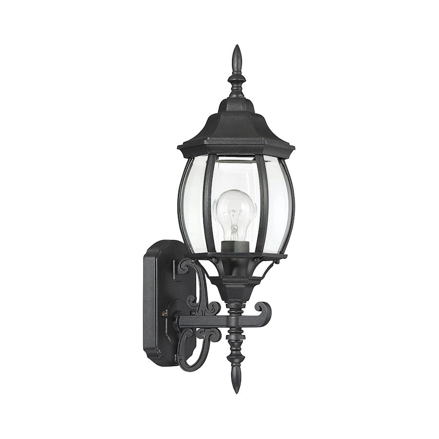 18" Outdoor Wall Lantern