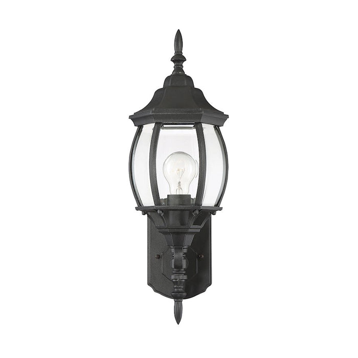 Savoy House Exterior Collection 18" Outdoor Wall Lantern, Black/Clear