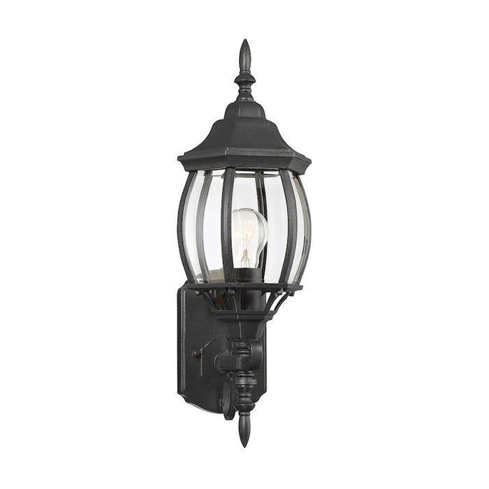 Savoy House Exterior Collection 18" Outdoor Wall Lantern, Black/Clear