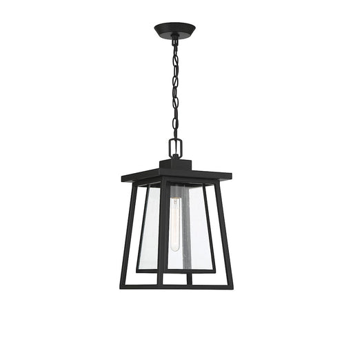 Savoy House Denver 1 Light Outdoor Hanging Lantern, Black/Seeded - 5-2025-BK
