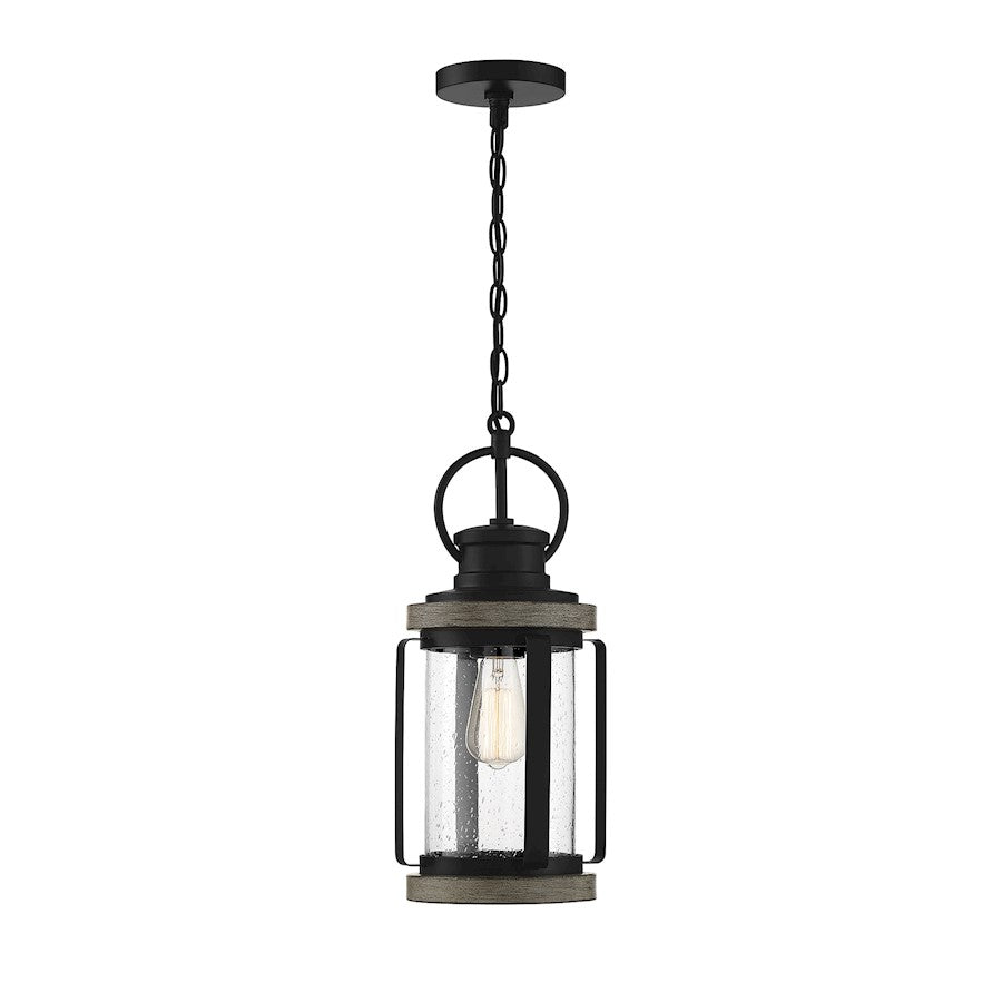 Savoy House Parker 1 Light Outdoor Hanging Lantern, Lodge - 5-2953-185