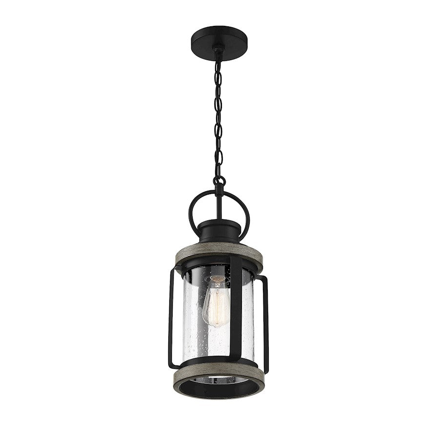 Savoy House Parker 1 Light Outdoor Hanging Lantern, Lodge