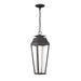 Savoy House Brookline LED Outdoor Hanging Lantern, Matte Black/Clear - 5-357-BK