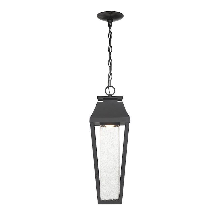 Savoy House Brookline LED Outdoor Hanging Lantern, Matte Black/Clear