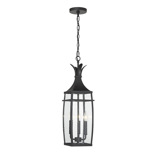 Savoy House Montpelier 3 Light Outdoor Hanging Lantern, Black/Clear - 5-763-BK