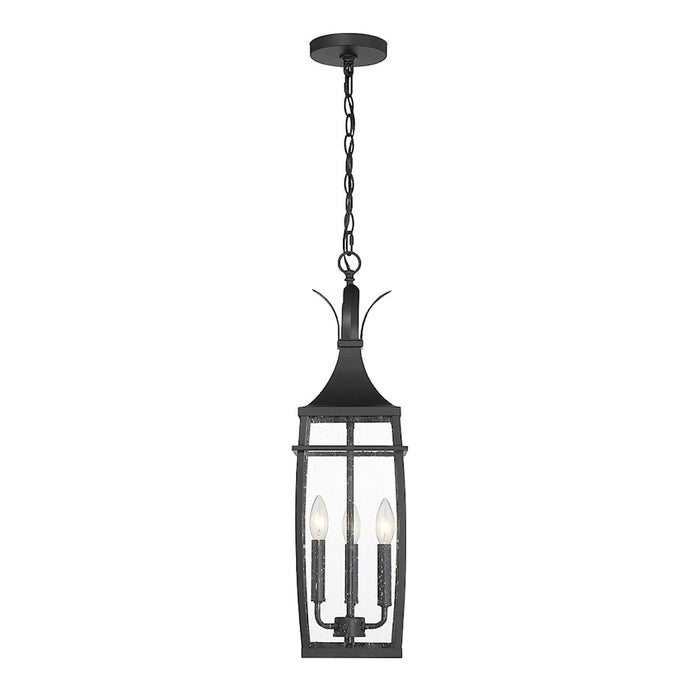 Savoy House Montpelier 3 Light Outdoor Hanging Lantern, Black/Clear
