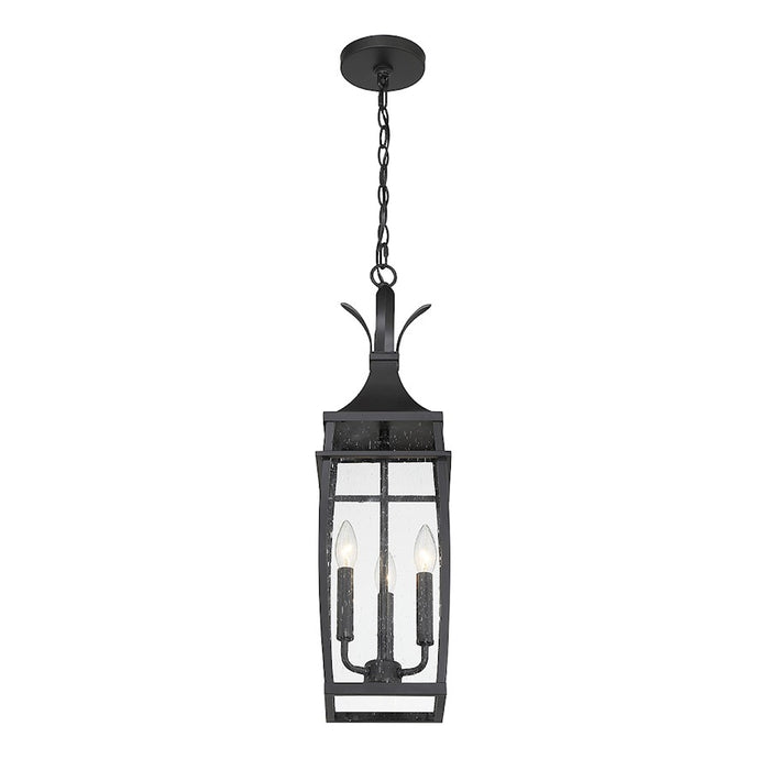 Savoy House Montpelier 3 Light Outdoor Hanging Lantern, Black/Clear