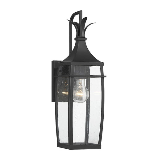Savoy House Montpelier 1 Light Outdoor Wall Lantern, Black/Clear - 5-768-BK