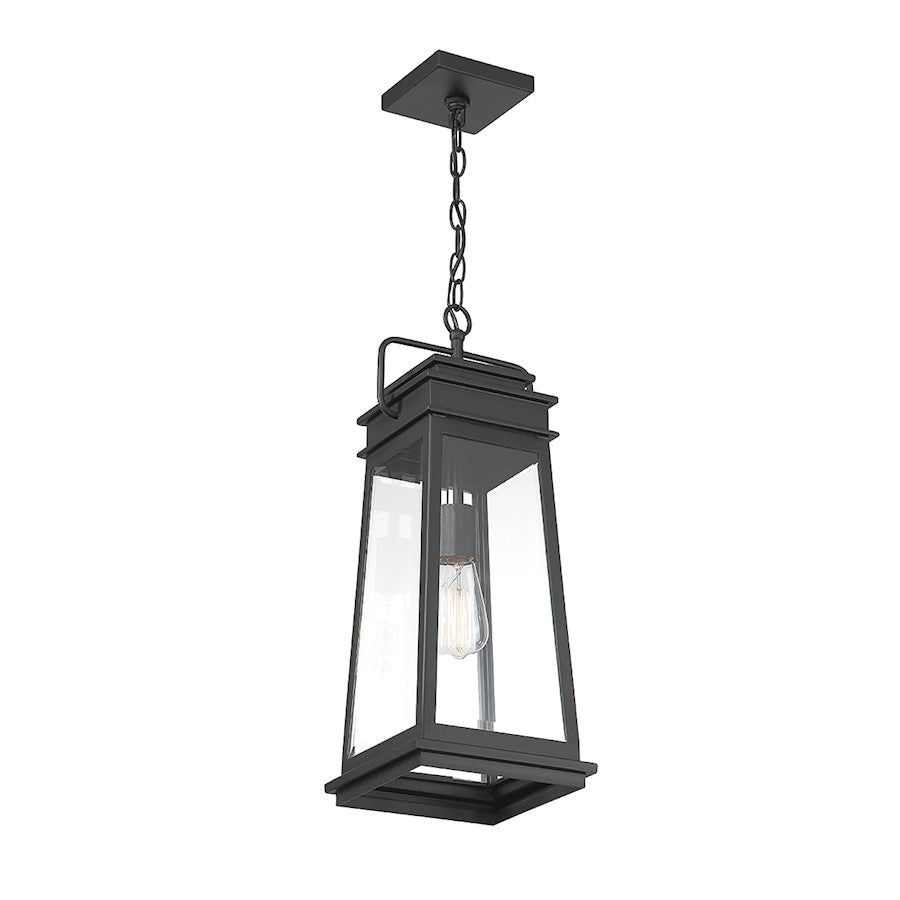 Savoy House Boone 1 Light Outdoor Hanging Lantern, Black/Clear