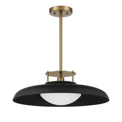 1 Light Pendant, Matte Black