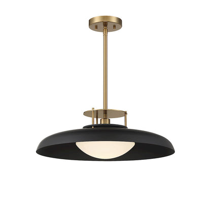 1 Light Pendant, Matte Black