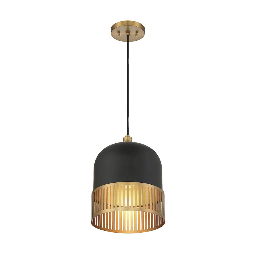 1 Light Pendant, Matte Black