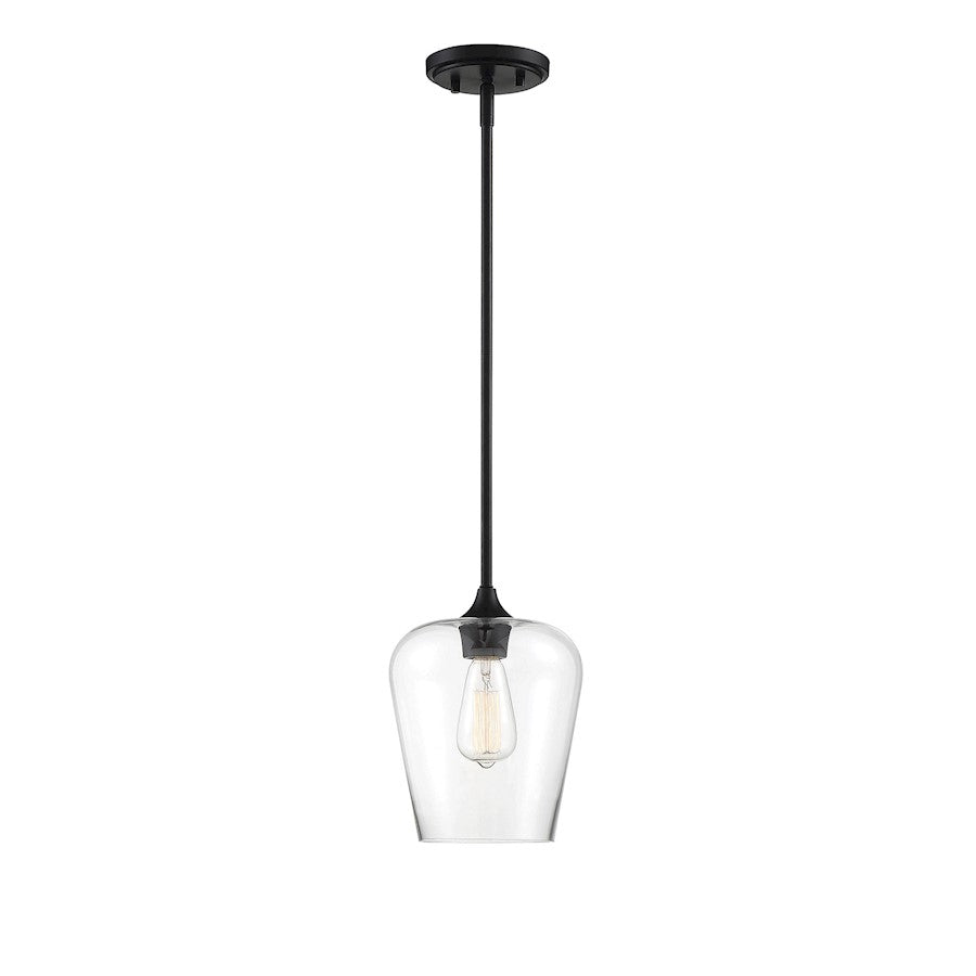 1 Light Mini Pendant, Black