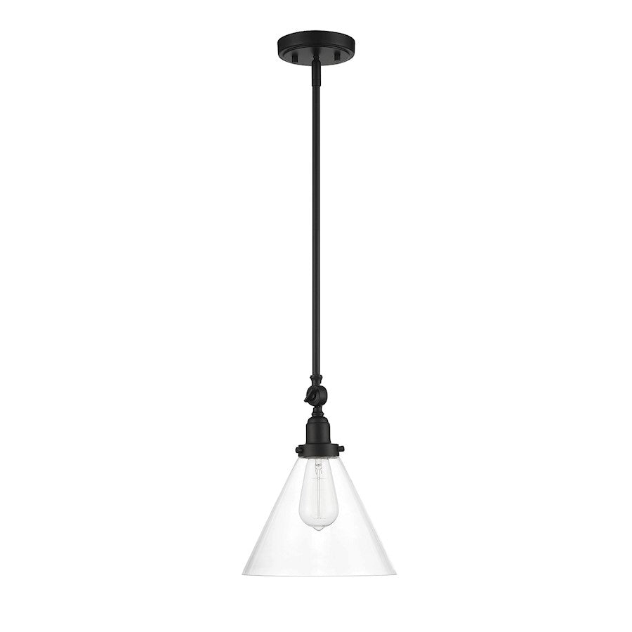 1 Light Pendant, Matte Black/Clear