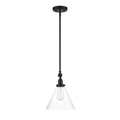 1 Light Pendant, Matte Black/Clear