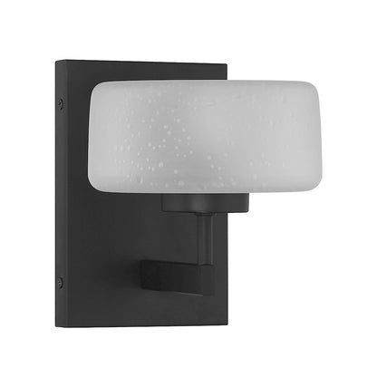 1 Light Wall Sconce