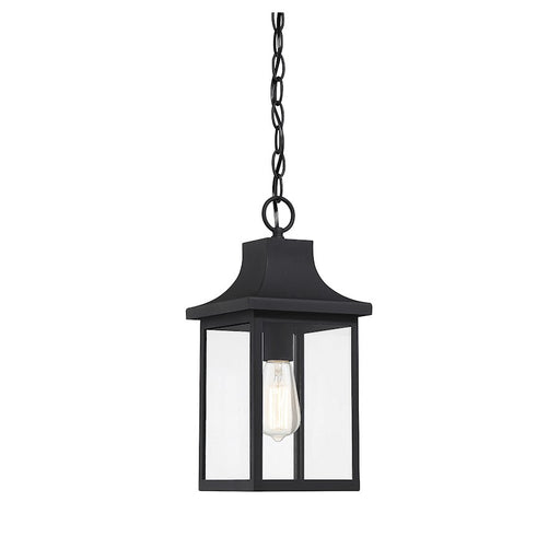 Meridian Traditional 1 Light Outdoor Hanging Lantern, Black/Clear - M50052BK