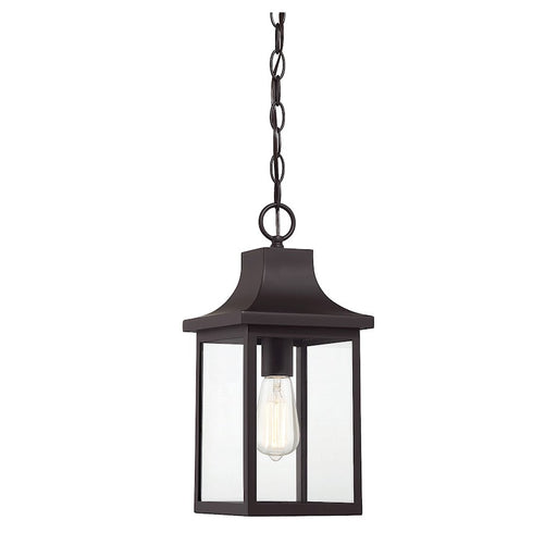Meridian Traditional 1 Light Outdoor Hanging Lantern, Bronze/Clear - M50052ORB