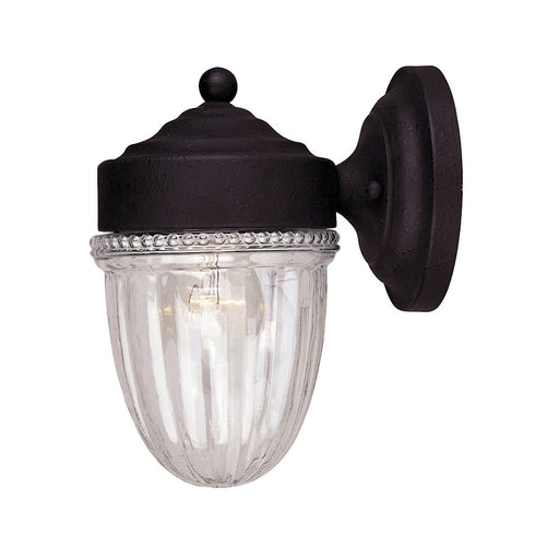 Meridian Traditional 1 Light Outdoor Wall Lantern, Black/Clear Ribbed - M50060TB