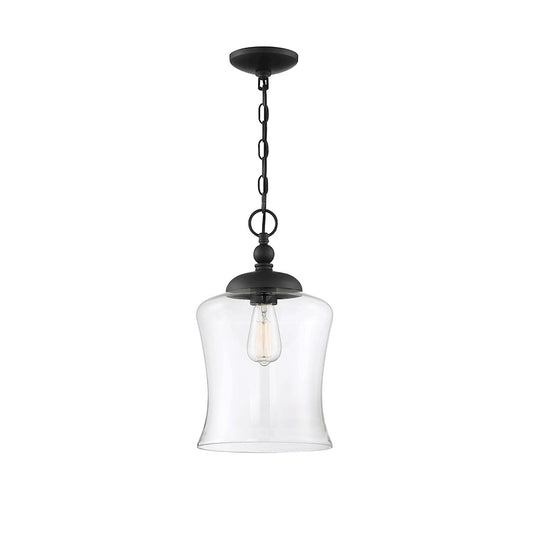 Meridian Transitional 1 Light 16" Pendant, Matte Black/Clear - M70019MBK