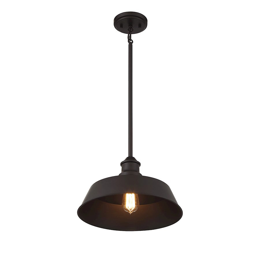 1 Light 8" Pendant, Natural Brass